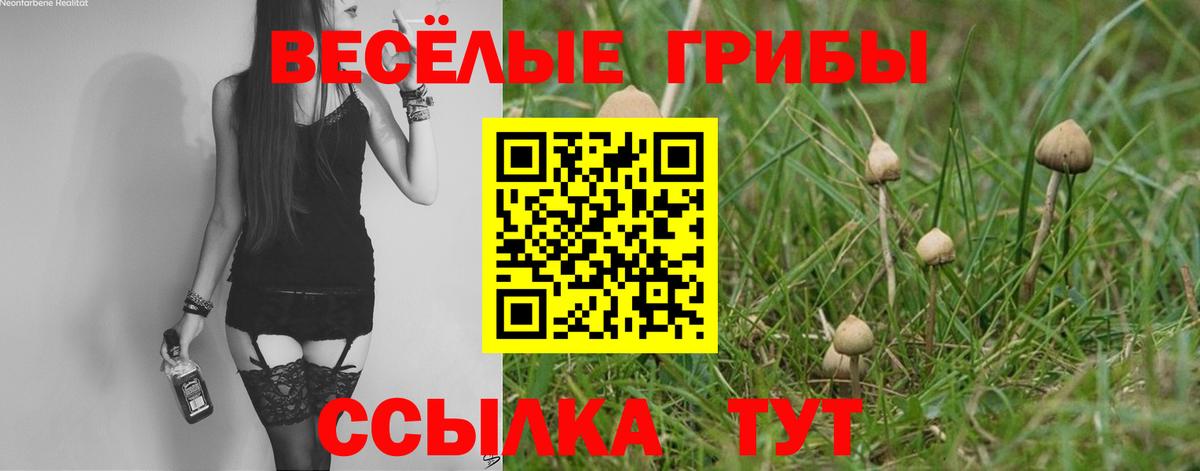 Псилоцибиновые грибы мицелий  Псилоцибиновые грибы GOLDEN TEACHER  Шадринск  Вход с VPN 