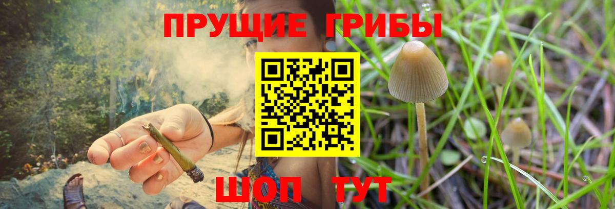 Галлюциногенные грибы GOLDEN TEACHER Шадринск